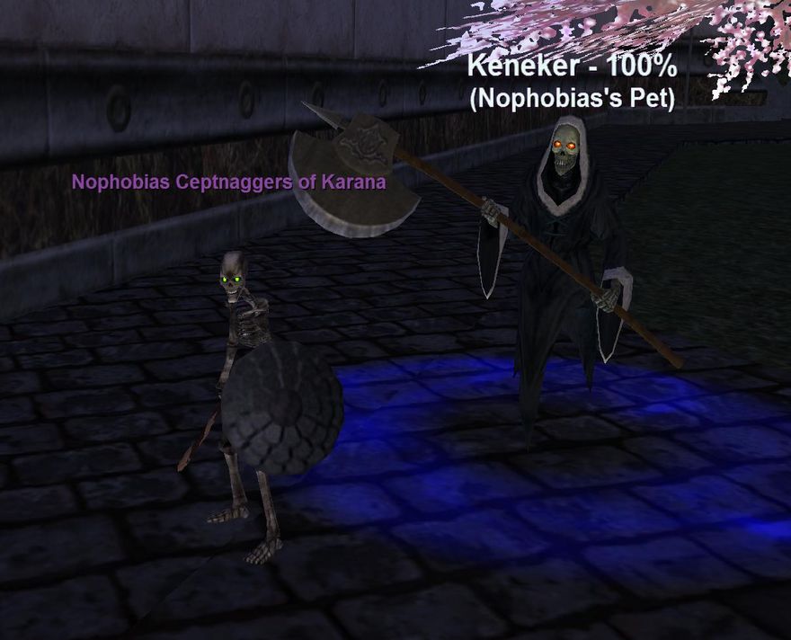 The Everquest Necromancer Named Nophobias